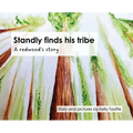 Standly finds his tribe: A redwood's story