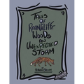 Tales of Raincliffe Woods: An Unexpected Storm
