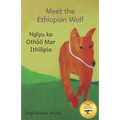 Meet the Ethiopian Wolf: Africa's Most Endangered Carnivore in Anuak and English