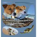 The Adventures of Jessica Jones & Sox - A Beach Rescue