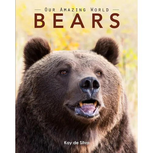Bears: Amazing Pictures & Fun Facts on Animals in Nature