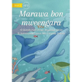 The Ocean Our Home - Marawa bon mweengara (Te Kiribati)