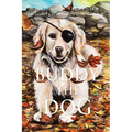Buddy the Dog