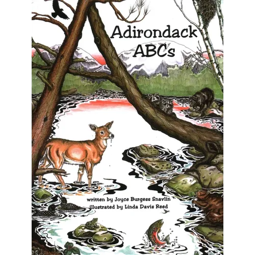 Adirondack ABCs
