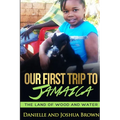 Our First Trip To Jamaica - land of wood and water