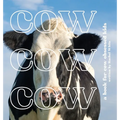 Cow Cow Cow: a book for cow obsessed kids