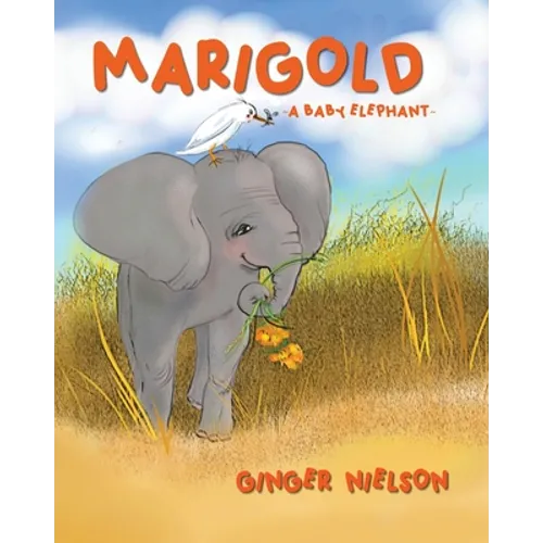 Marigold A Baby Elephant