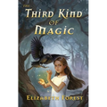 The Third Kind of Magic