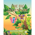 The Big Adventure