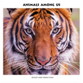 Animals Among Us