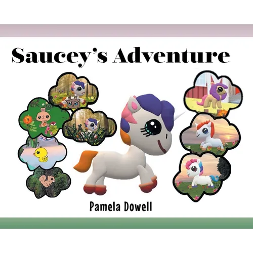 Saucey's Adventure